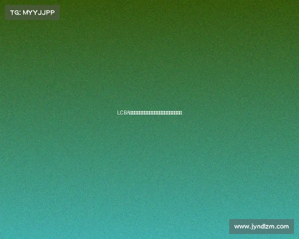 LCBA来力赛事沧州站激情开战高手云集争夺荣耀时刻 LCBA来力赛事沧州站激情开战高手云集争夺荣耀时刻